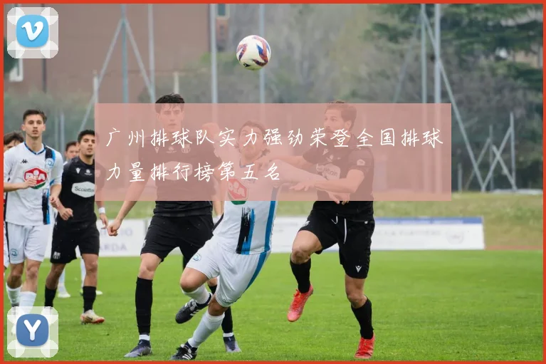 广州排球队实力强劲荣登全国排球力量排行榜第五名