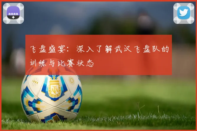 飞盘盛宴：深入了解武汉飞盘队的训练与比赛状态